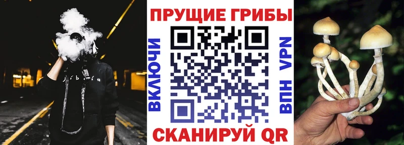 Псилоцибиновые грибы Psilocybe  МЕГА маркетплейс  Набережные Челны 